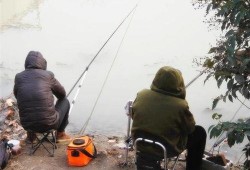 钓鱼爆料视频最新版大全,揭秘钓鱼技巧与实战经验汇总