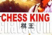 棋王电影在线观看,在线观看，领略国粹围棋的魅力