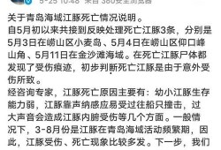 农村王先生最新爆料,揭秘农村发展新动向