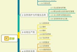 六一礼盒爆料视频大全集,视频大全集带你领略童趣时光