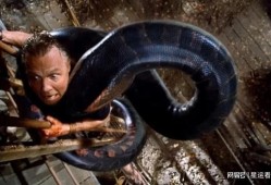 狂蟒之灾4电影在线观看,蟒影重生，惊悚再临