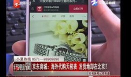 京东新闻爆料,揭秘电商巨头背后的秘密