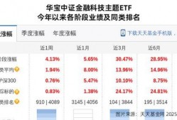 和平基金最新爆料,深度解析国际和平发展新动向