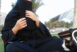 娱乐吃瓜君lisa,揭秘娱乐圈幕后故事