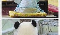 吃瓜群众争观娱乐圈,吃瓜群众围观大戏连连