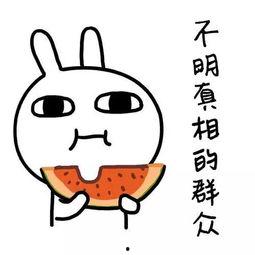 718娱乐吃瓜是啥意思,网络热词背后的娱乐现象